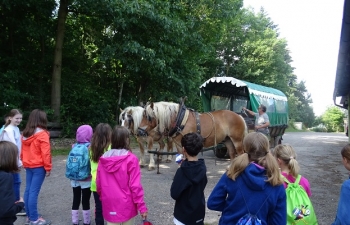 2018_reiten1