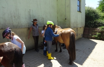 2018_reiten2