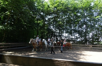 2018_reiten4