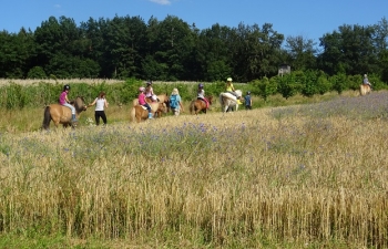 2018_reiten8