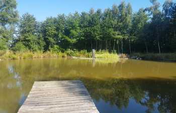 IMG-20190731-WA0005