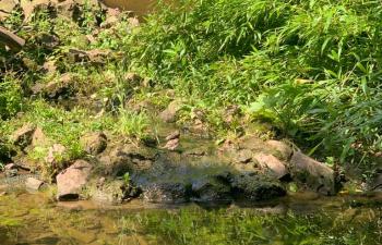 1_Vivarium-2