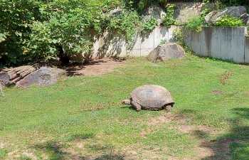 1_Vivarium-4